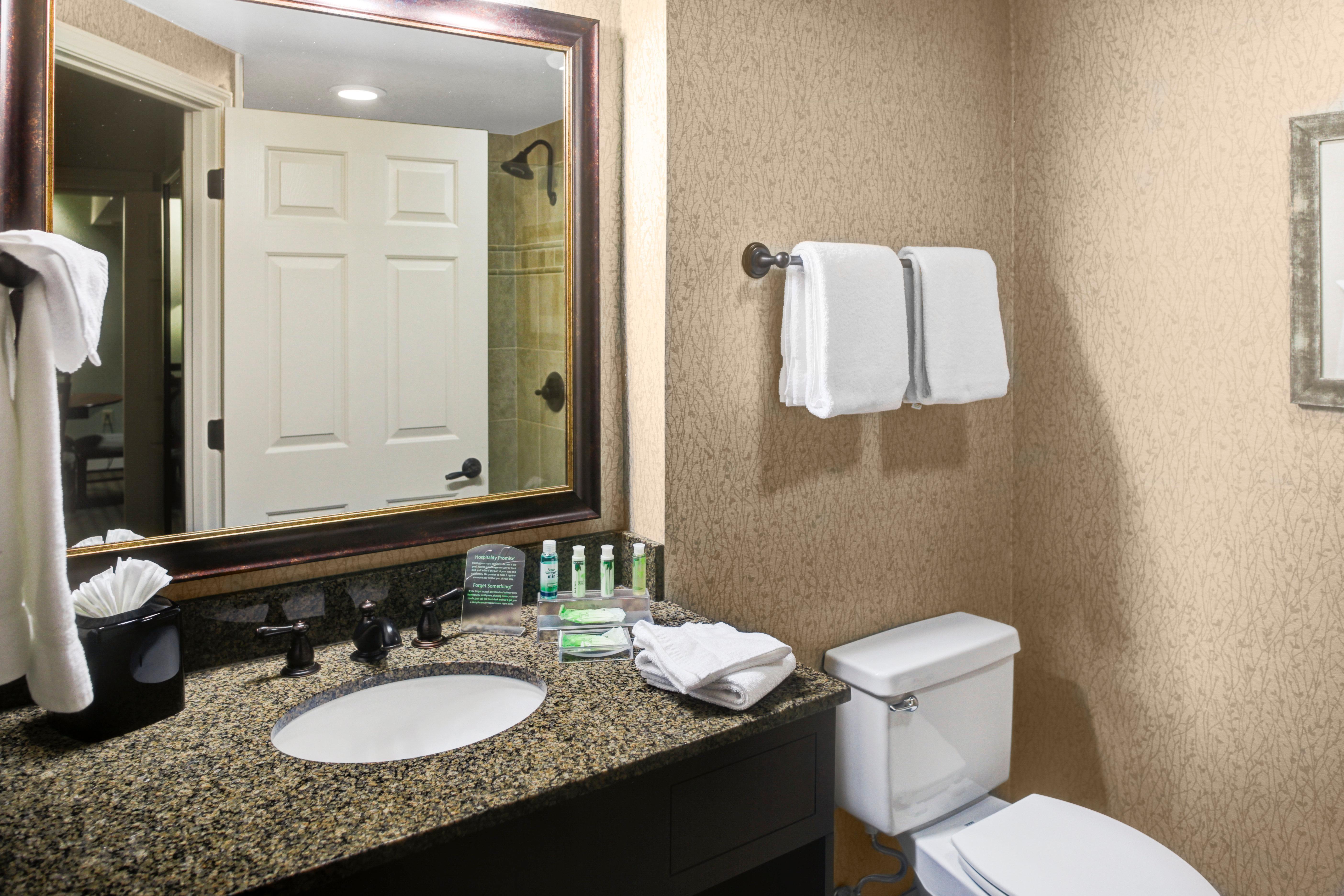 Holiday Inn Express Hotel & Suites Atlanta Buckhead By Ihg Buitenkant foto